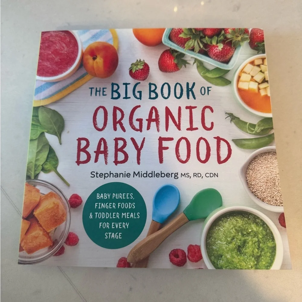 The Big Book of Organic Baby Food